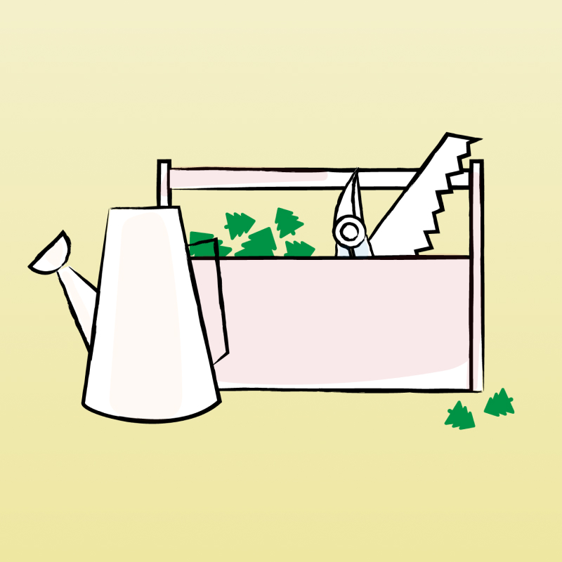 Unlocking Tree Equity Score Tiny Stories by American Forests